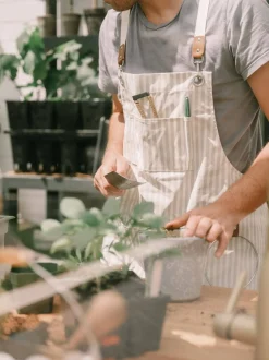 The Apron - Lauren'S Sage Stripe