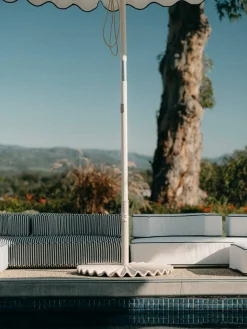 The Clamshell Base - Antique White