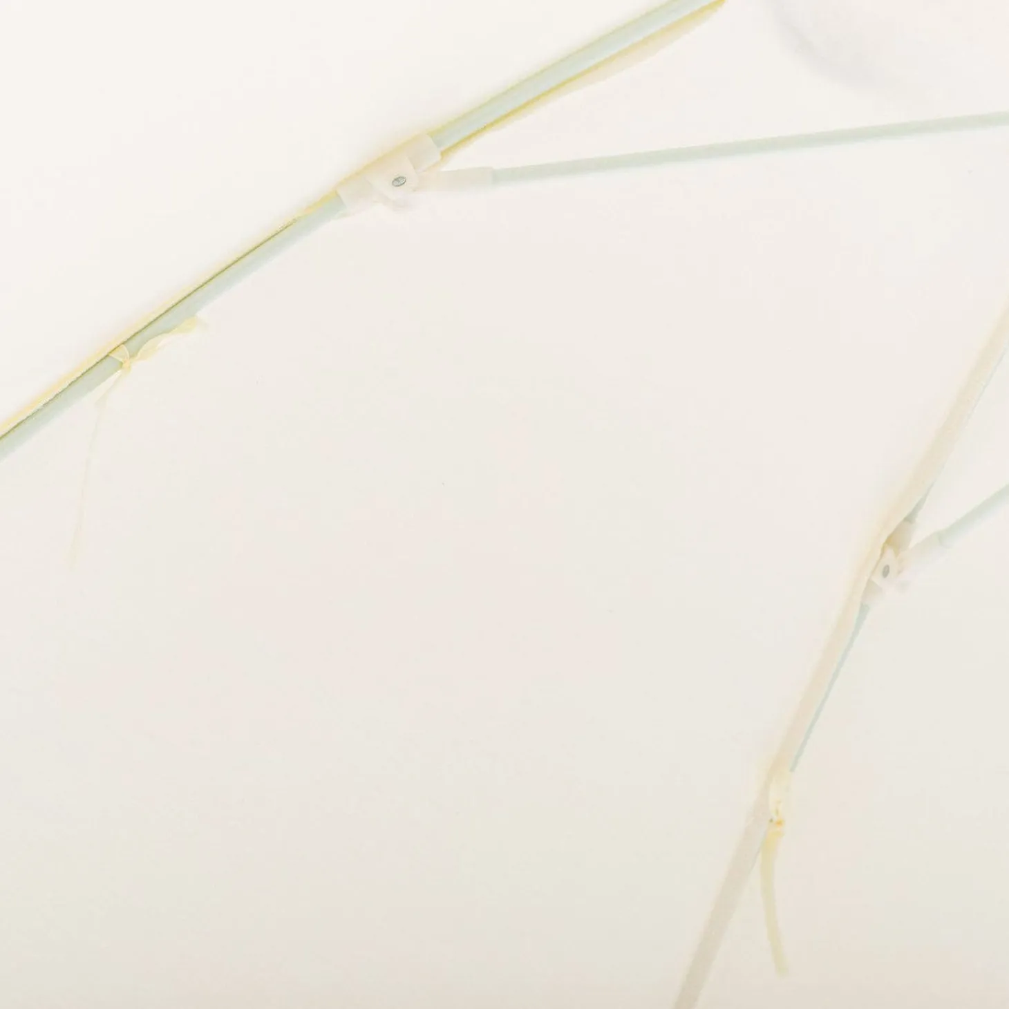 The Club Umbrella - Rivie White