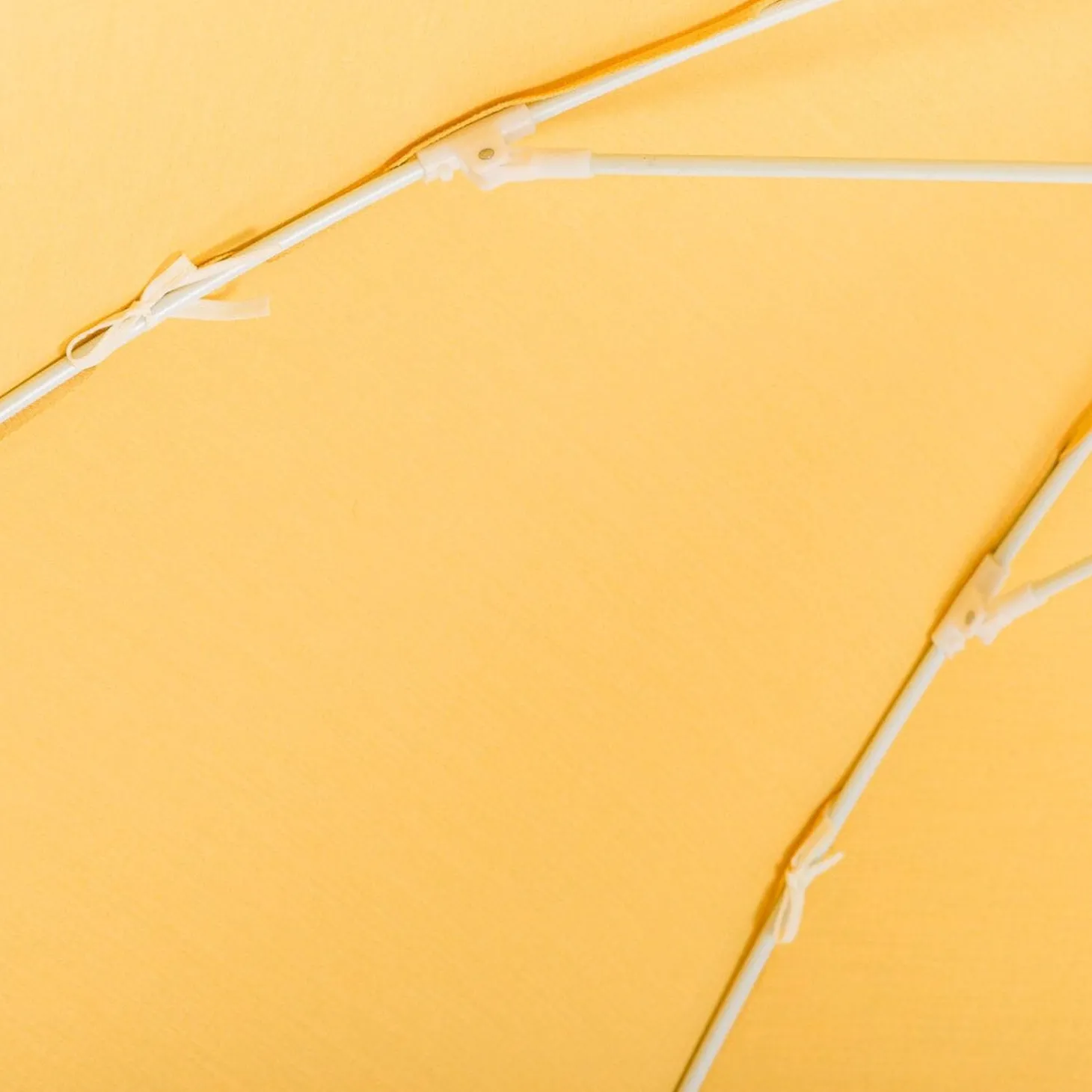 The Club Umbrella - Rivie Mimosa