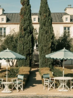 The Directors Chair - Table Height - Rivie Green