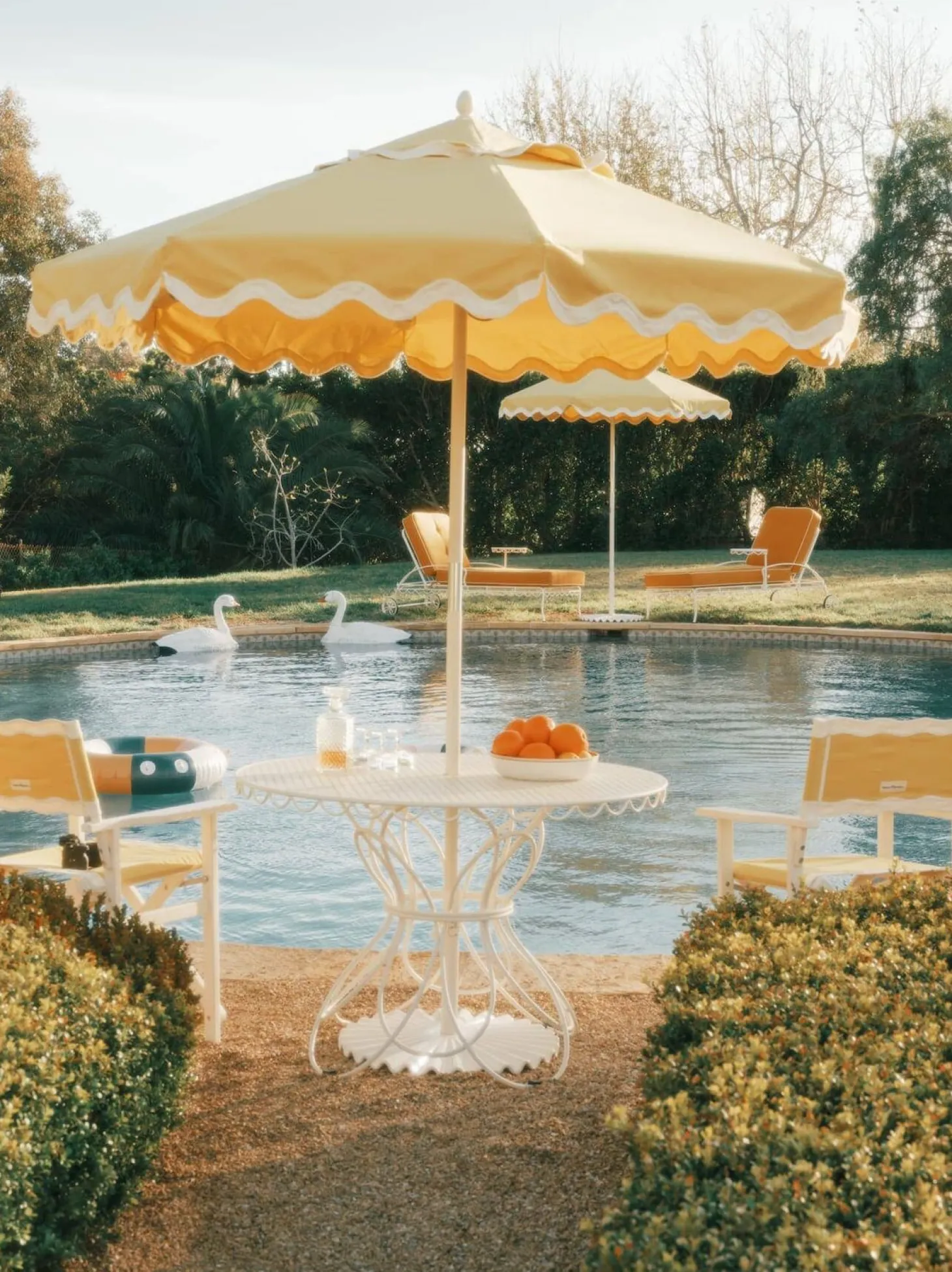 The Directors Chair - Table Height - Rivie Mimosa