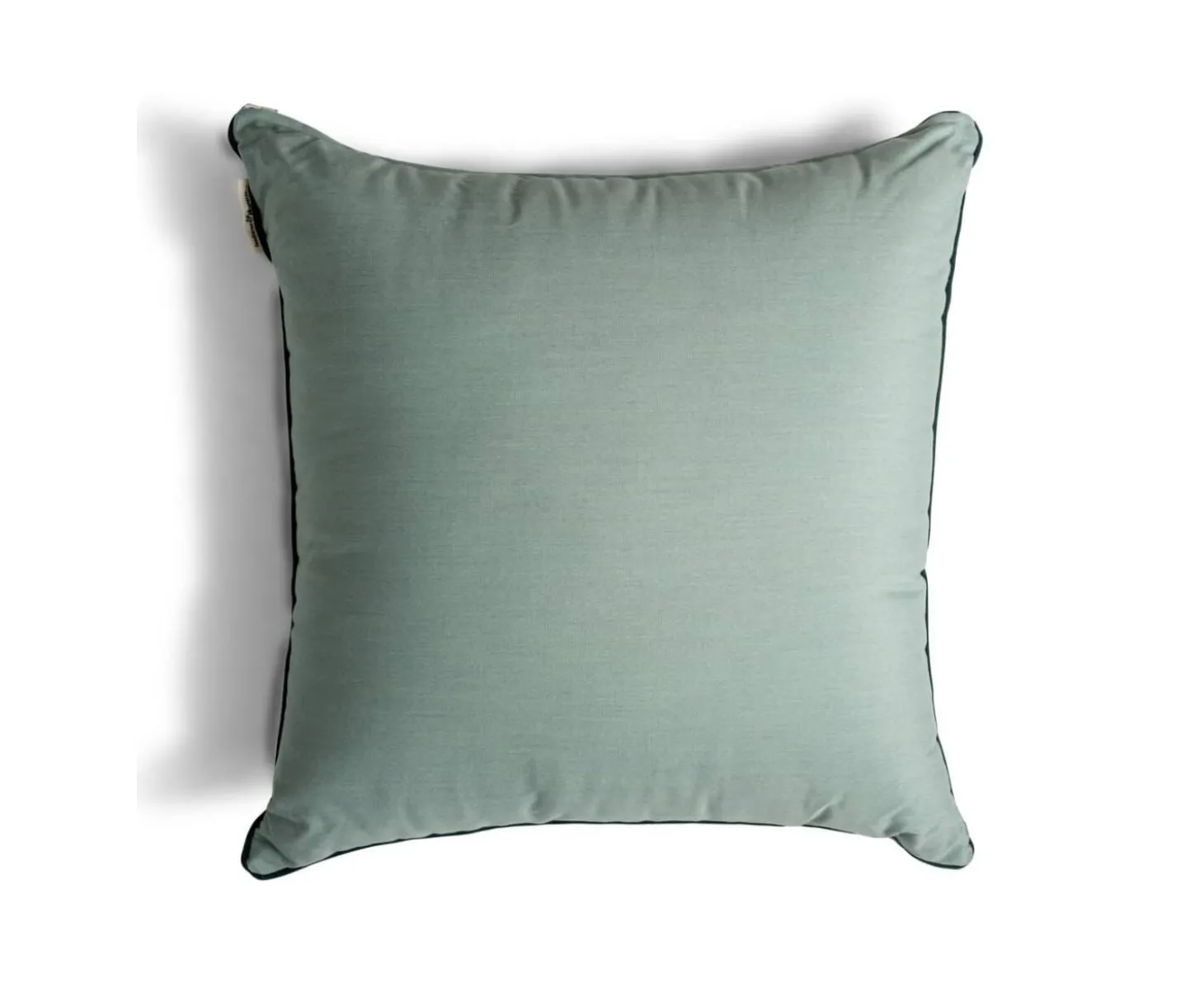 The Euro Throw Pillow - Rivie Green