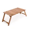 The Folding Picnic Table - Teak