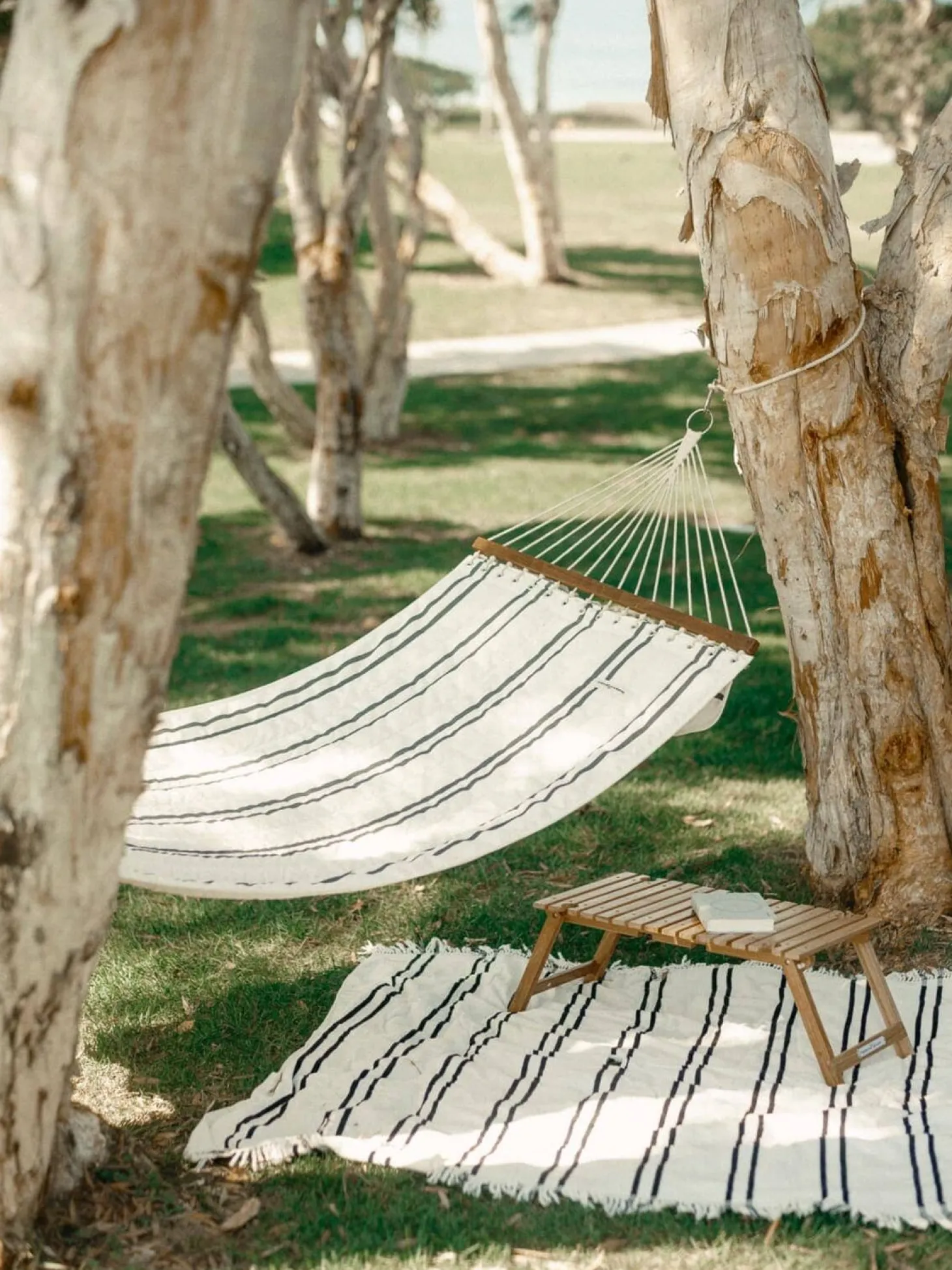 The Hammock - Malibu Black Stripe