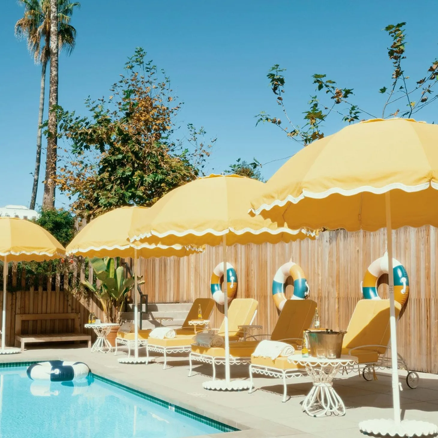 The Patio Umbrella - Rivie Mimosa