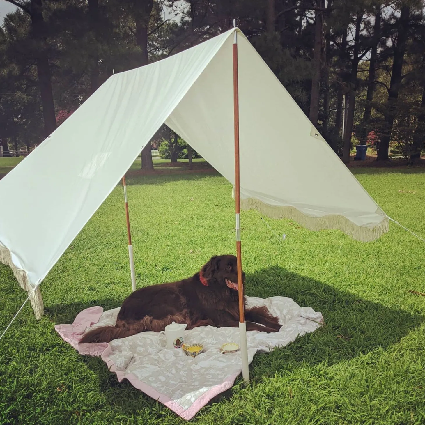 The Premium Beach Tent - Antique White