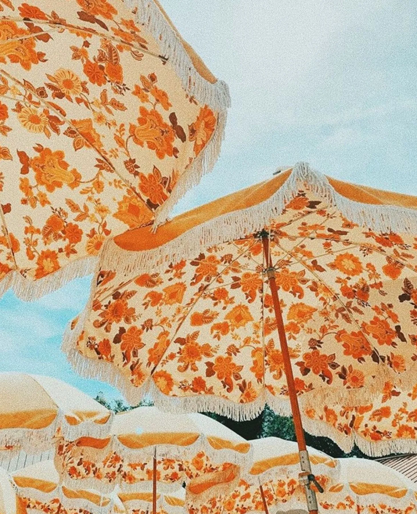 The Premium Beach Umbrella - Paisley Bay