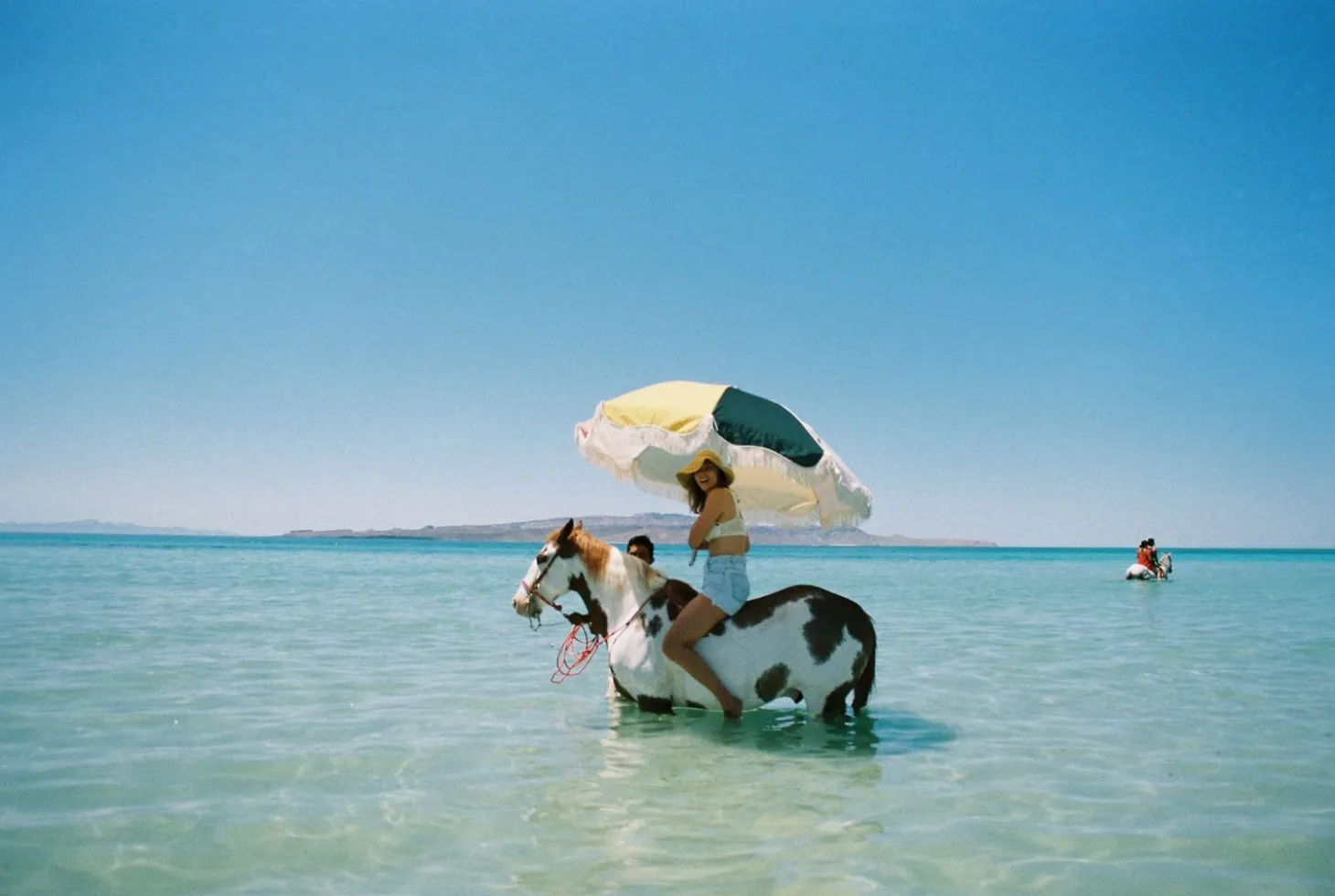 The Premium Beach Umbrella - 70'S Panel Cinque