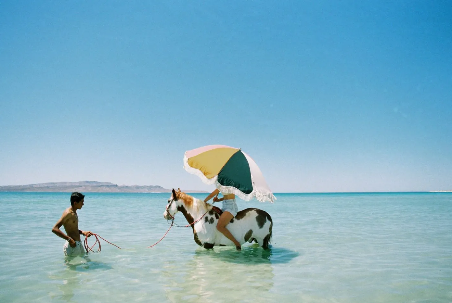 The Premium Beach Umbrella - 70'S Panel Cinque