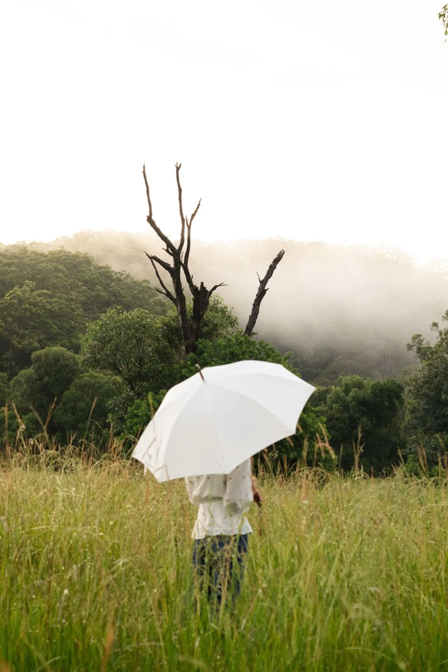 The Rain Umbrella - Antique White