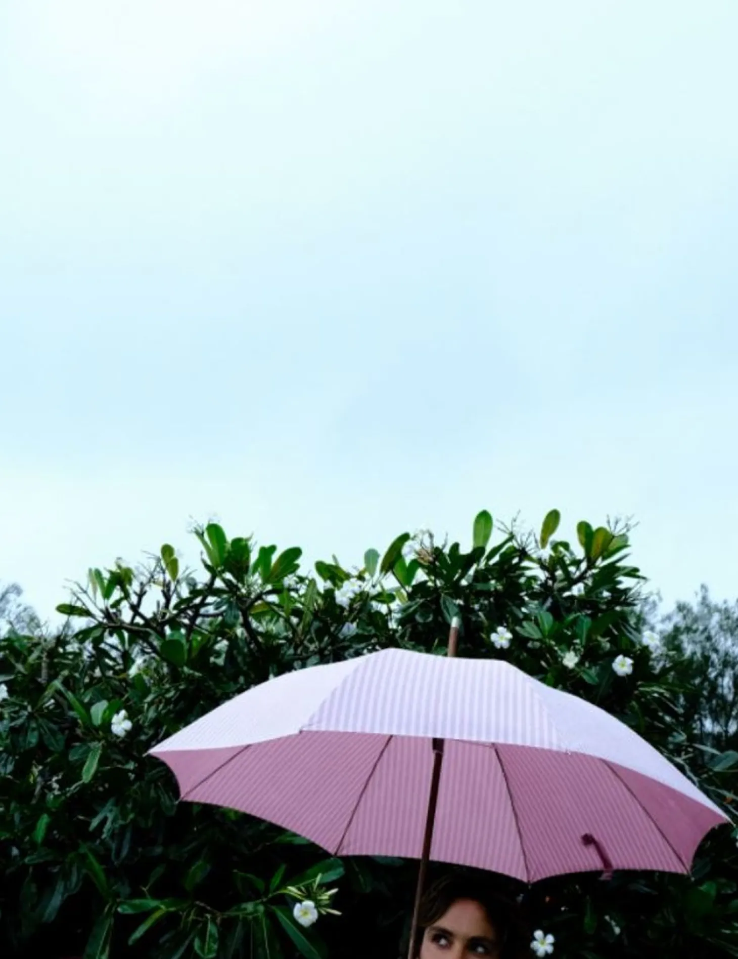 The Rain Umbrella - Lauren'S Pink Stripe