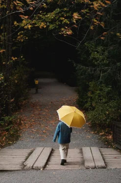 The Rain Umbrella - Rivie Mimosa