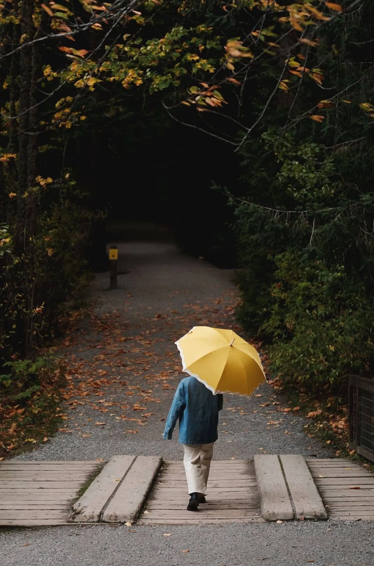 The Rain Umbrella - Rivie Mimosa