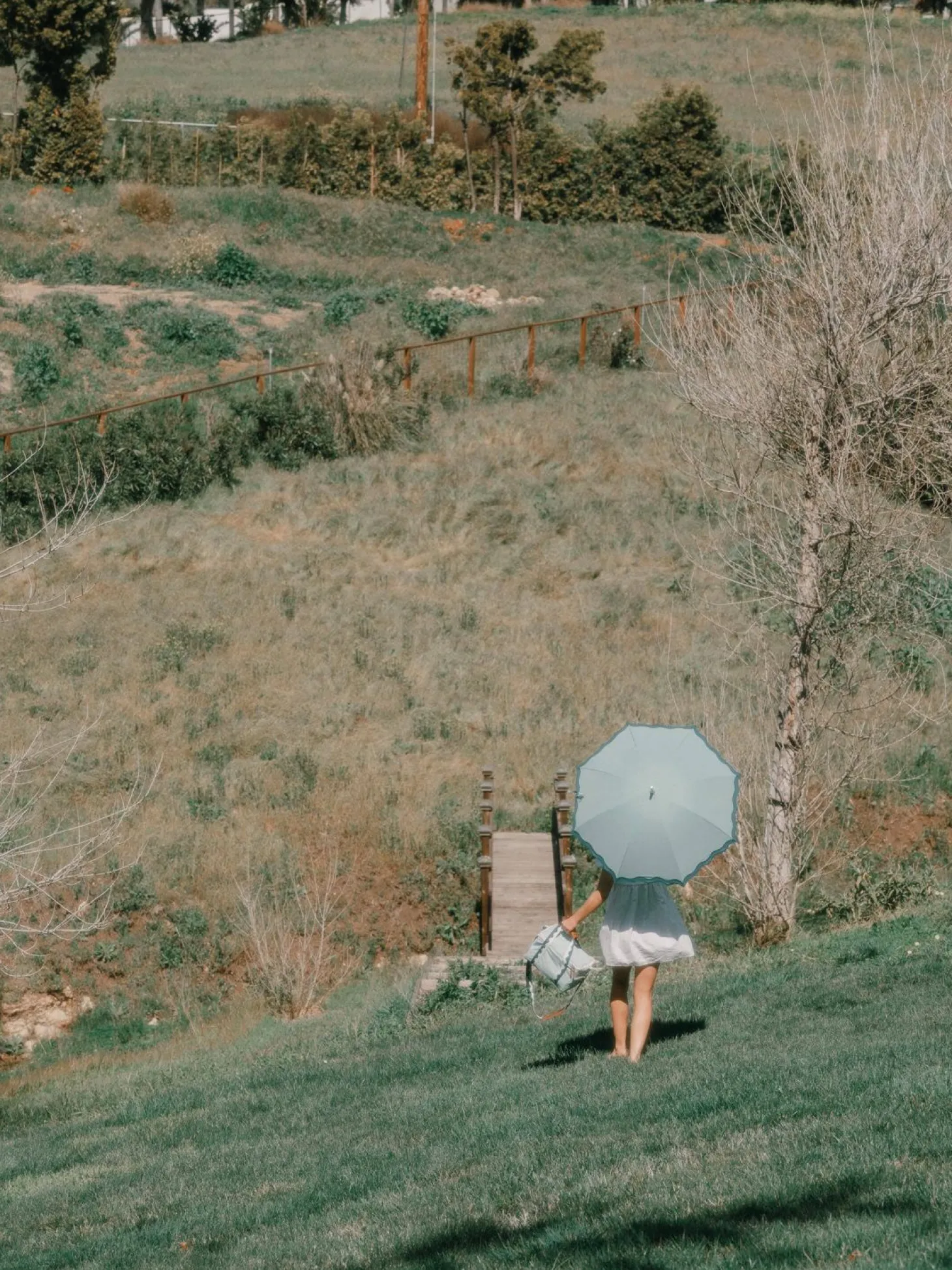 The Rain Umbrella - Rivie Green